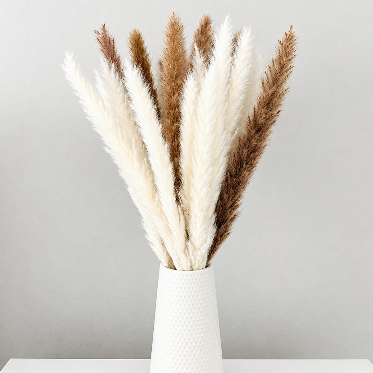 Home Collection 30-Pack Dried White Pampas Grass for Vases