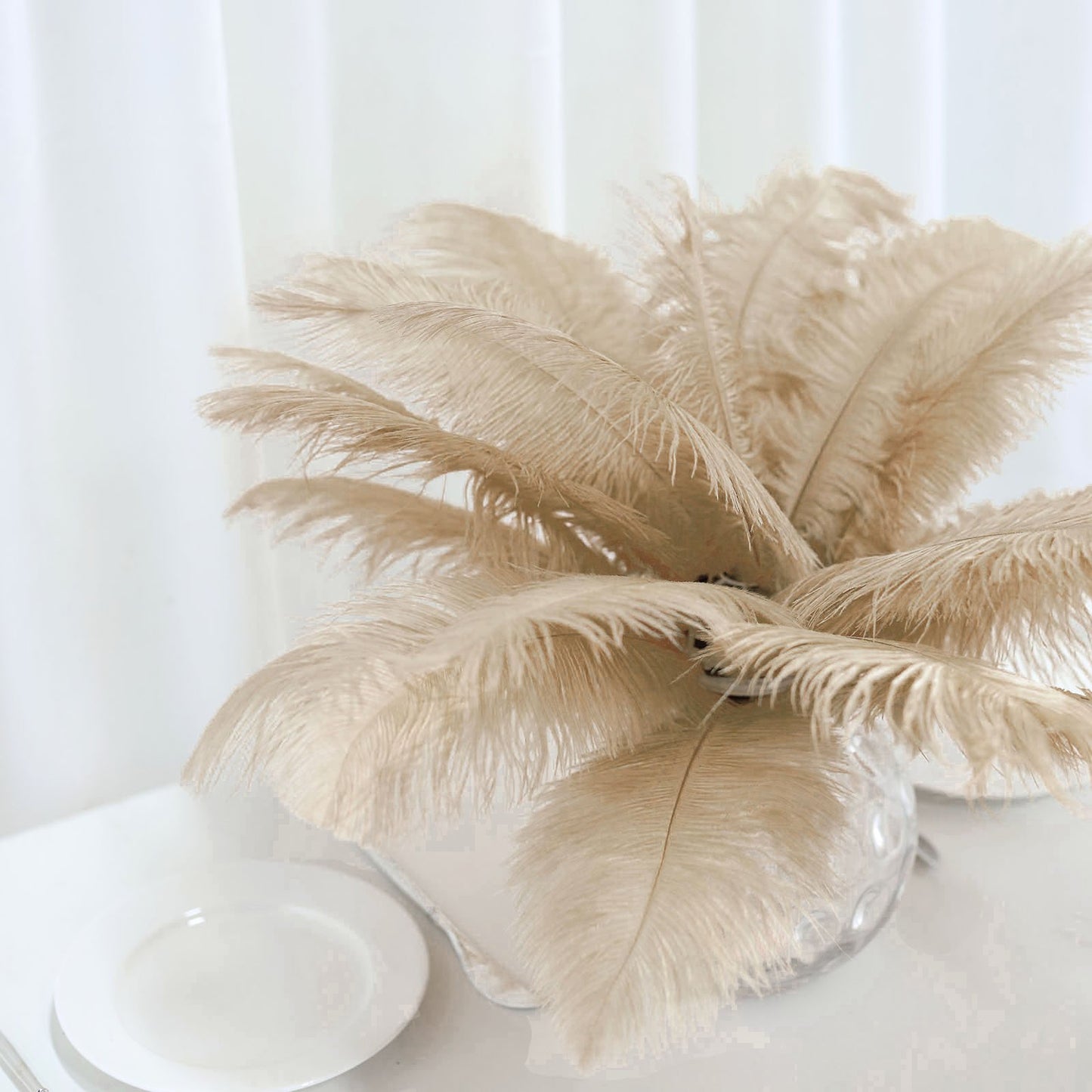 Home Collection 12-Piece Genuine Ostrich Feathers – 13"–15" Decorative Feathers for Centerpieces