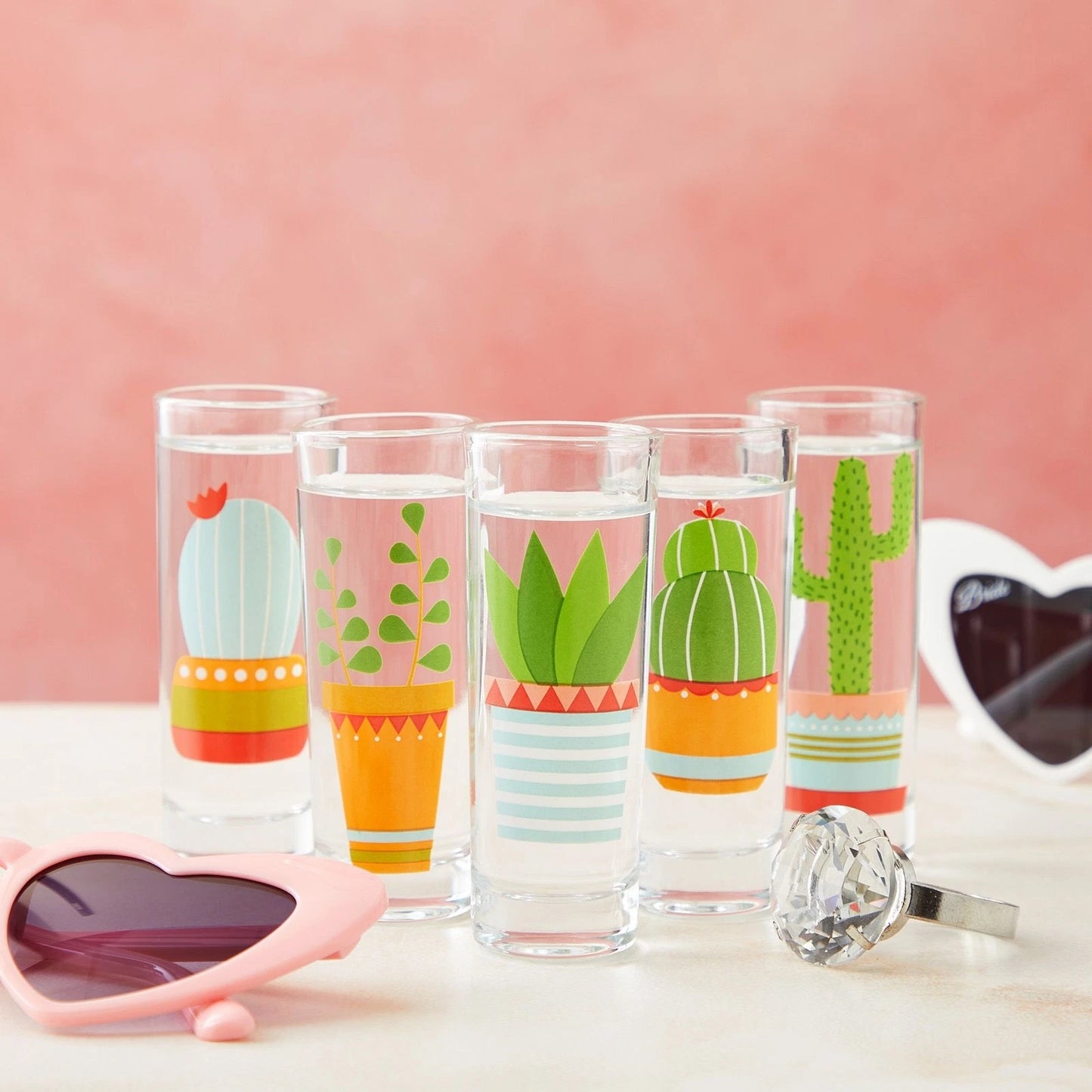 5 Pack Shot Glasses Set with Cactus Designs