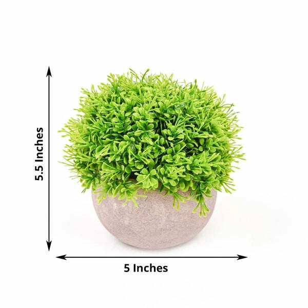 Green Gray Mini Boxwood Topiary 2 Potted Artificial Plants