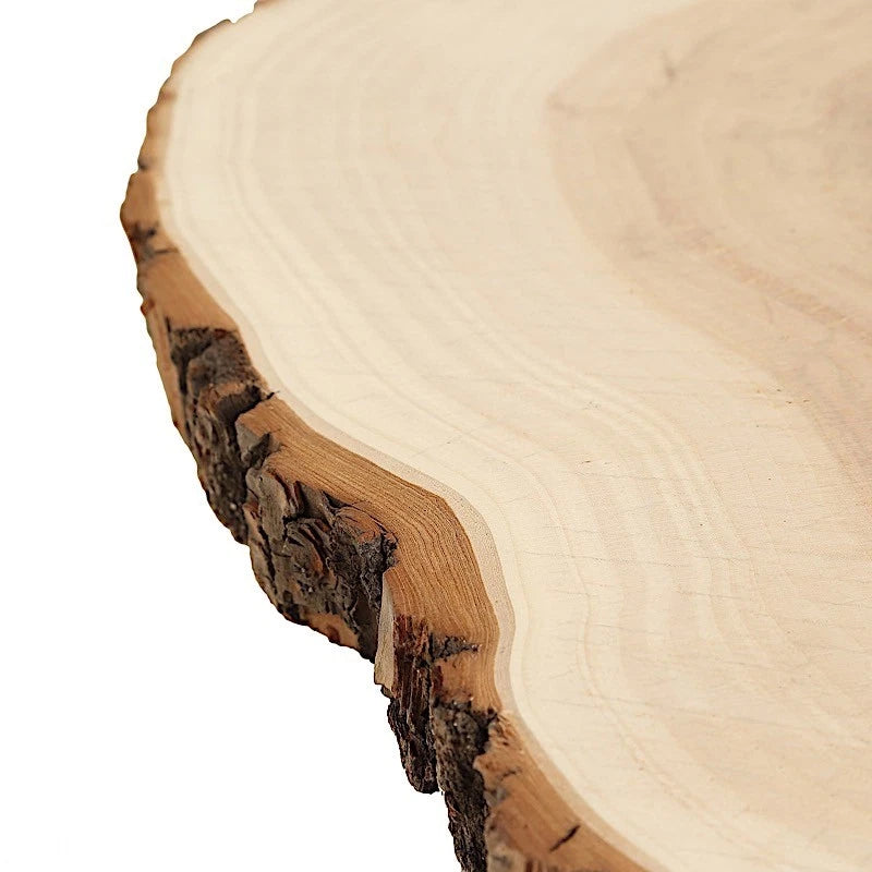 Home Collection 14–18" Natural Round Wooden Slice
