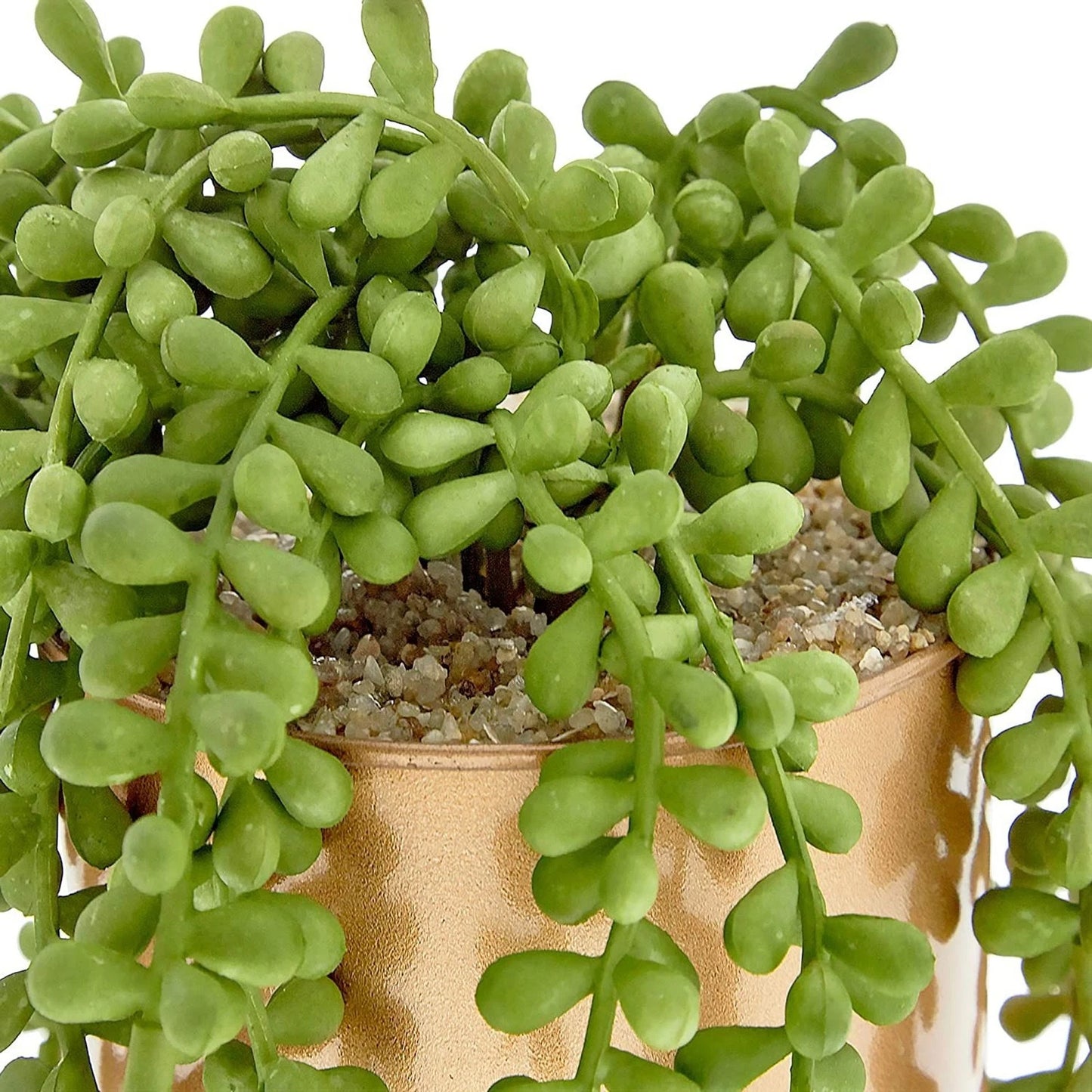Potted Artificial Succulent – Modern Home Decor