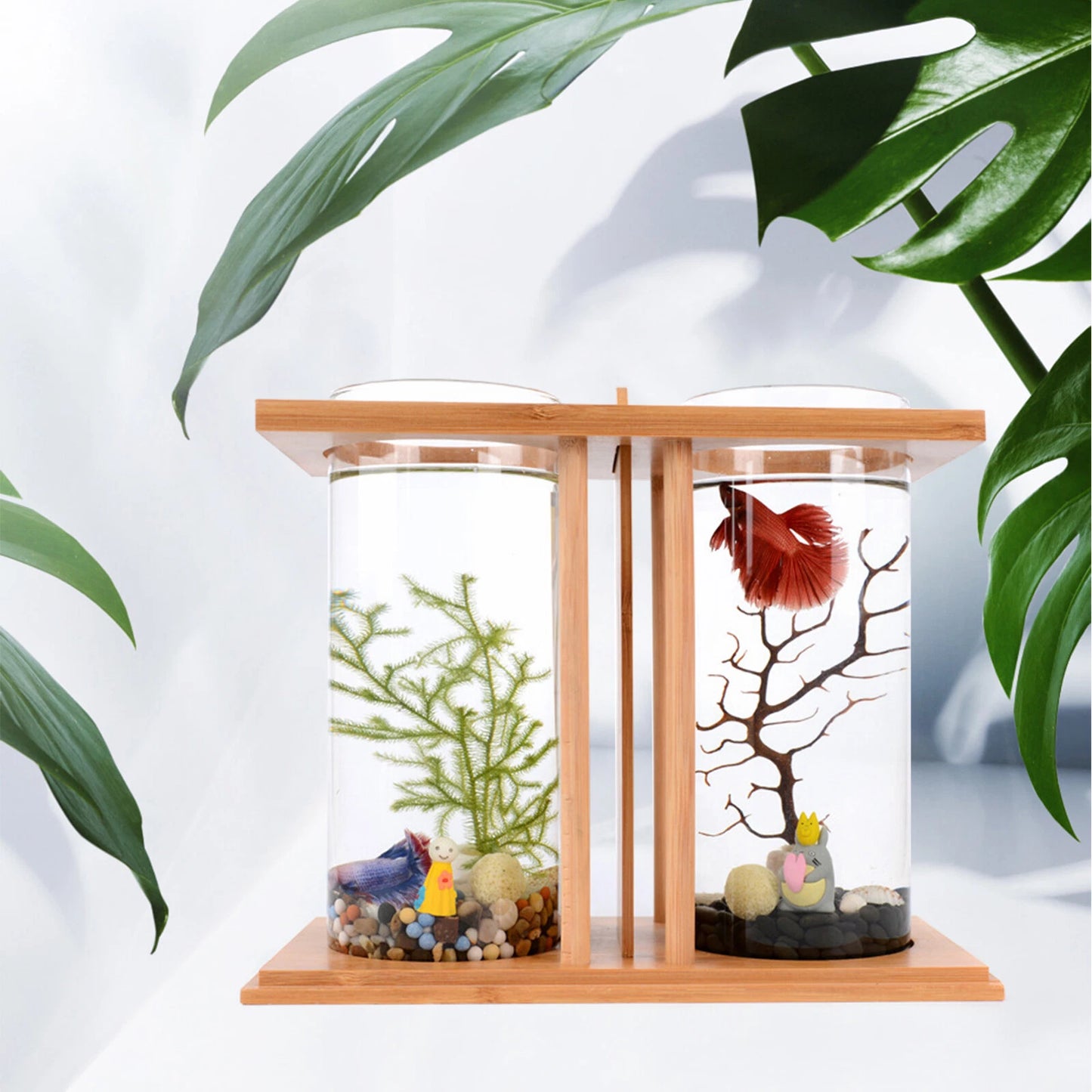 Mini Dual Glass Betta Fish Tank