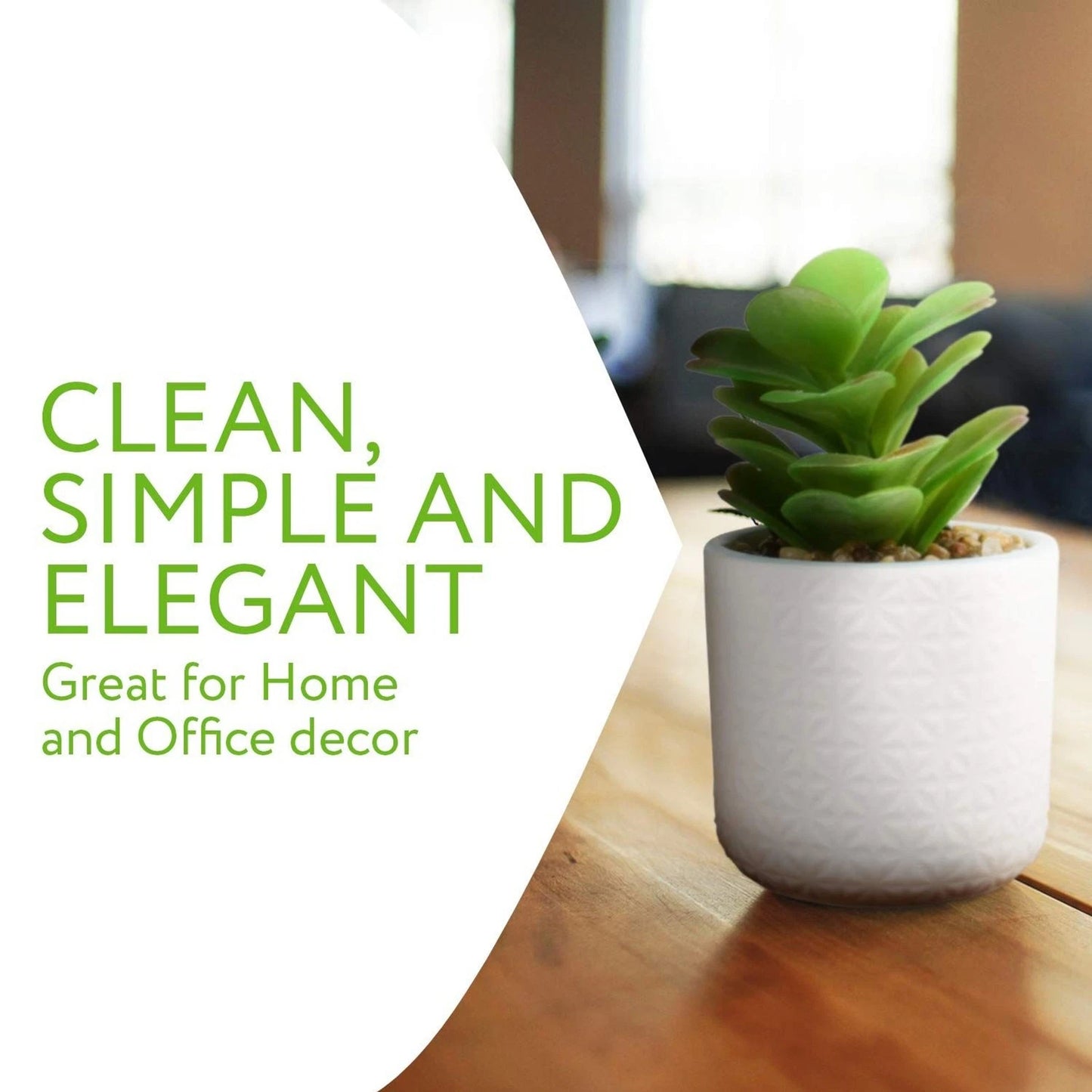 Artificial Succulent Plants in Ceramic Pots with Bamboo Tray