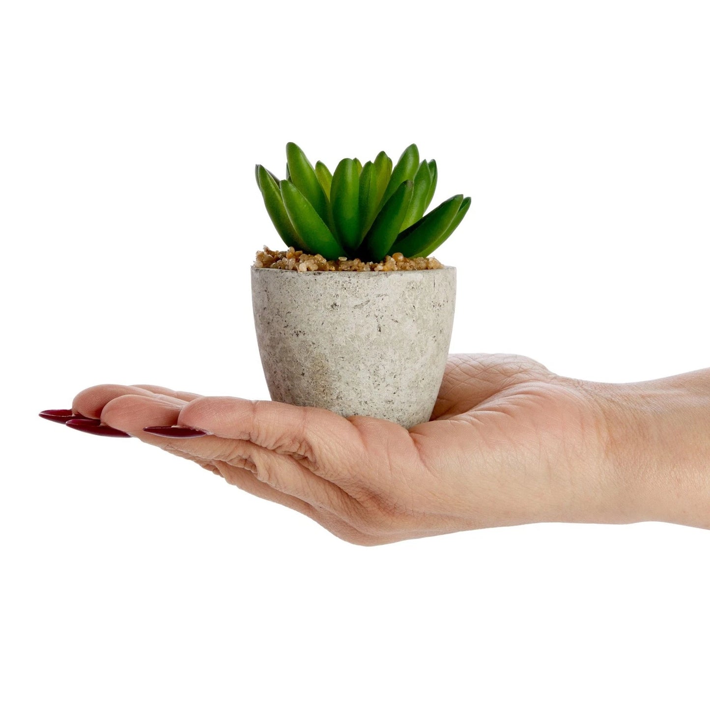 6 Pack Artificial Succulent Plant Pots