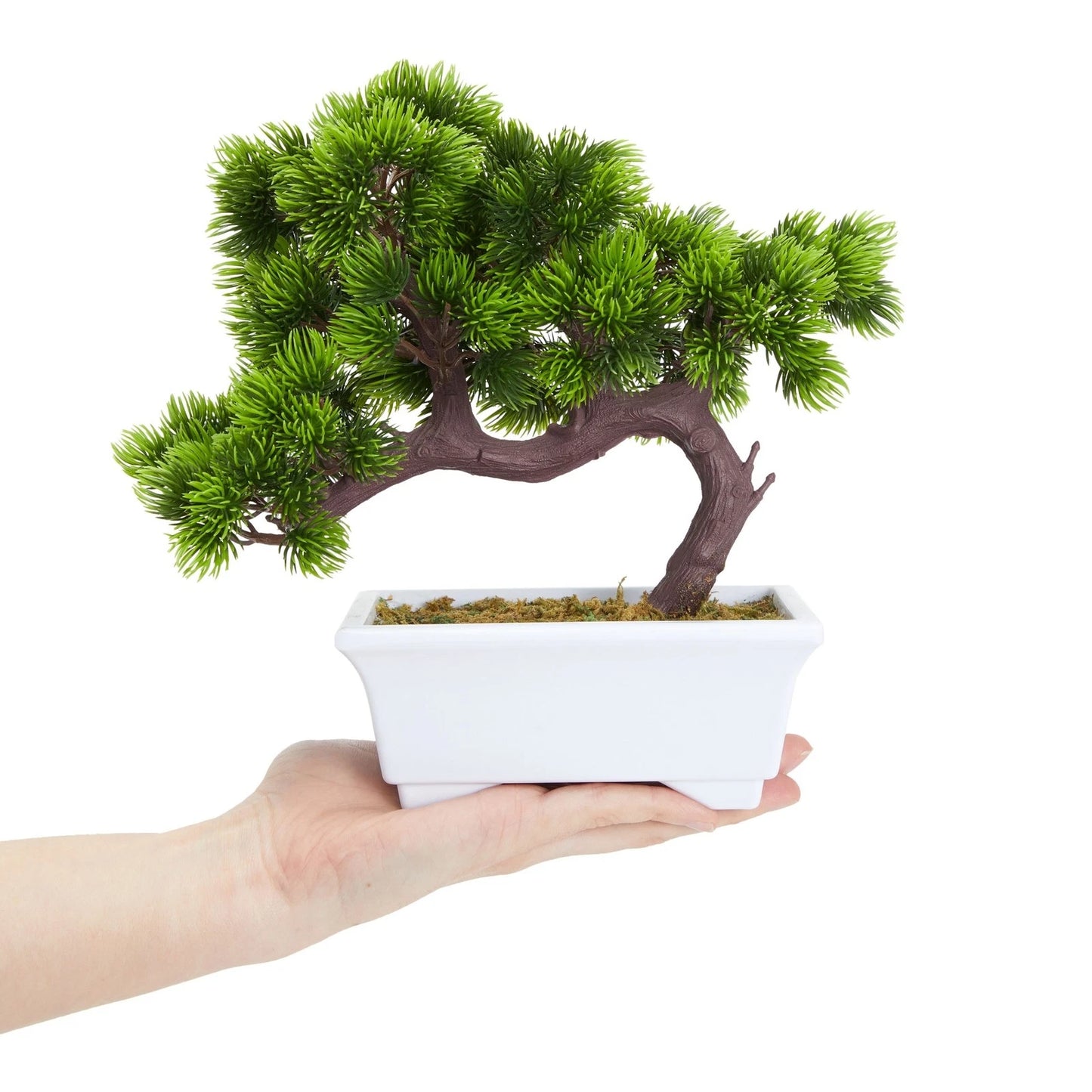 Artificial Bonsai Tree – Japanese Pine in White Pot