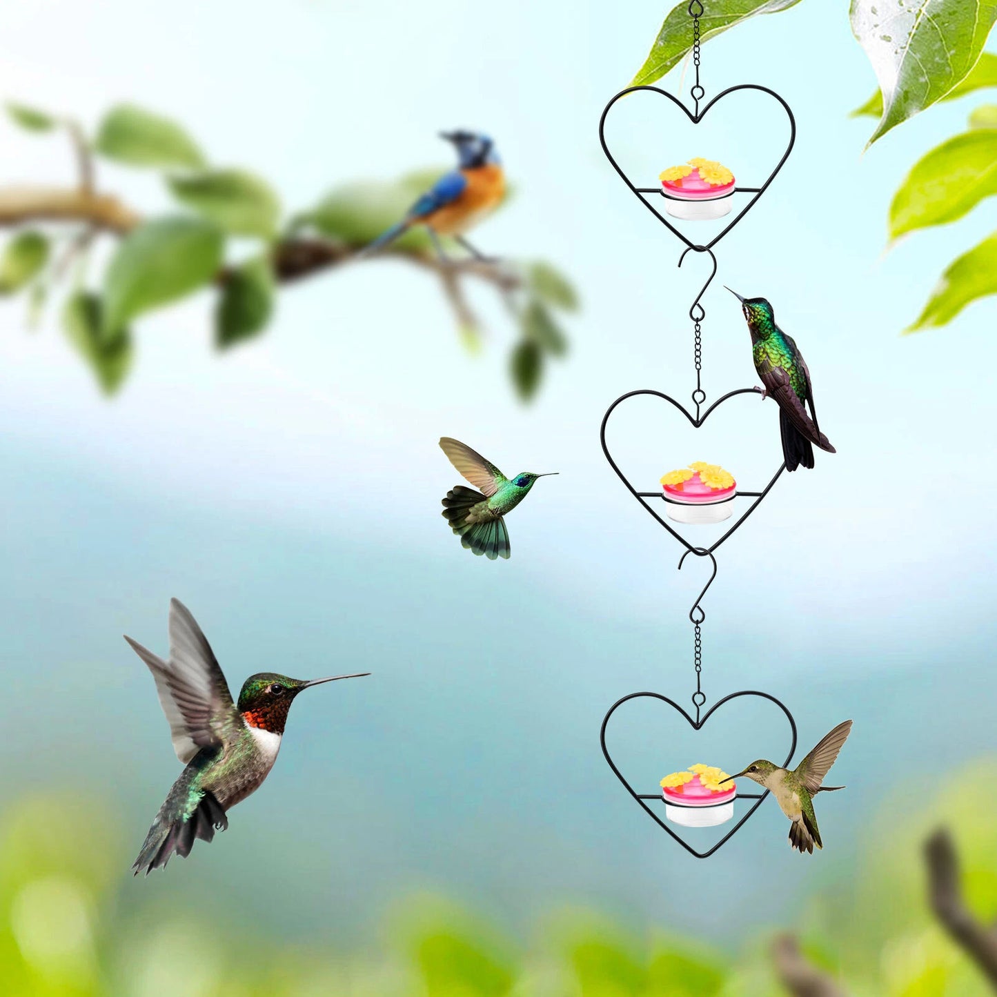 3pcs Hummingbird Feeders