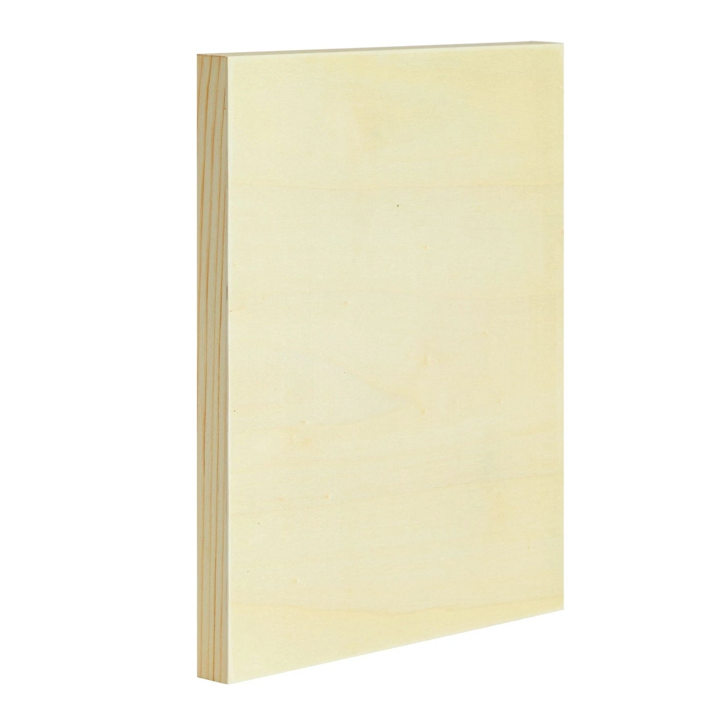 6-Pack 8x10 Inch Unfinished Wood Canvas Panels