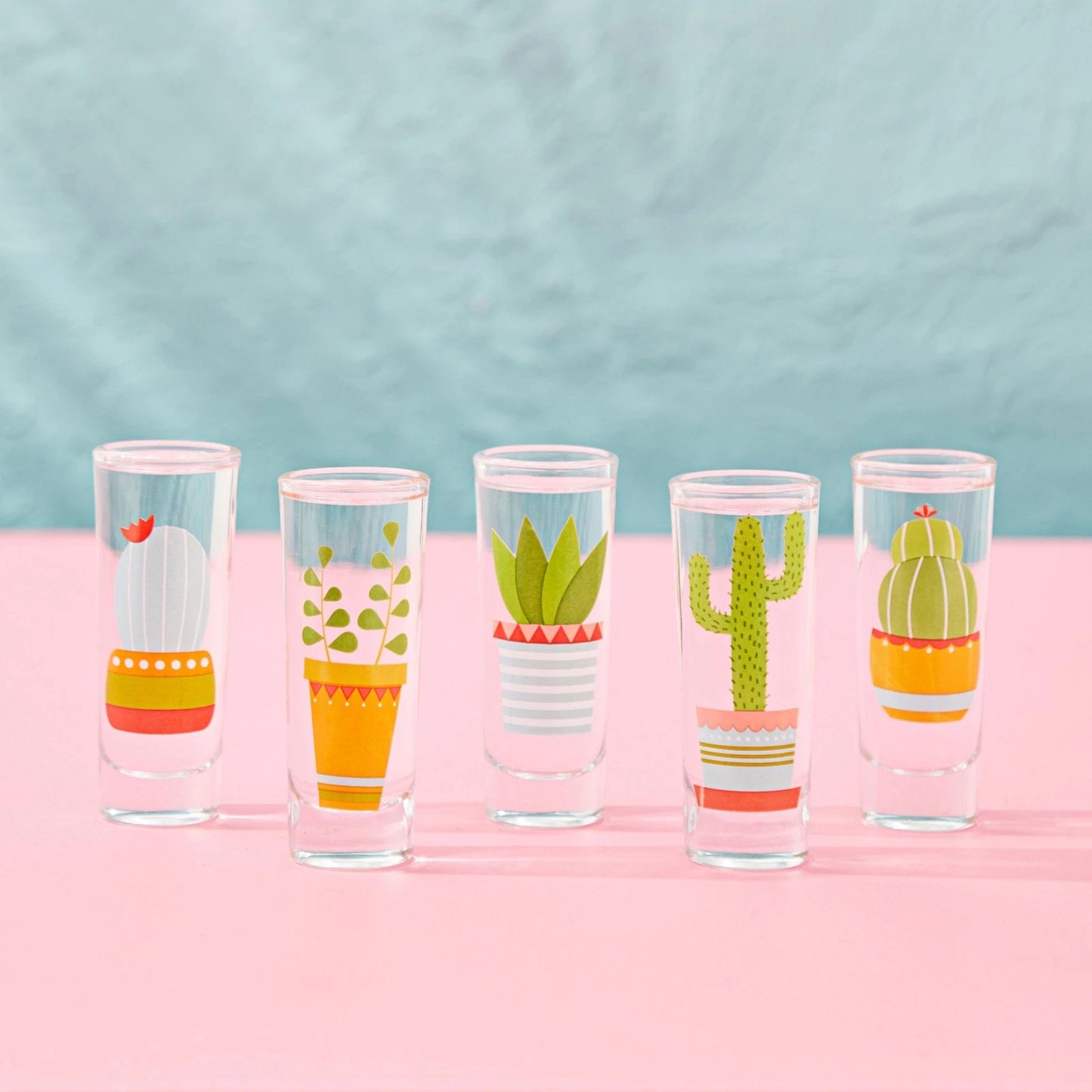 5 Pack Shot Glasses Set with Cactus Designs