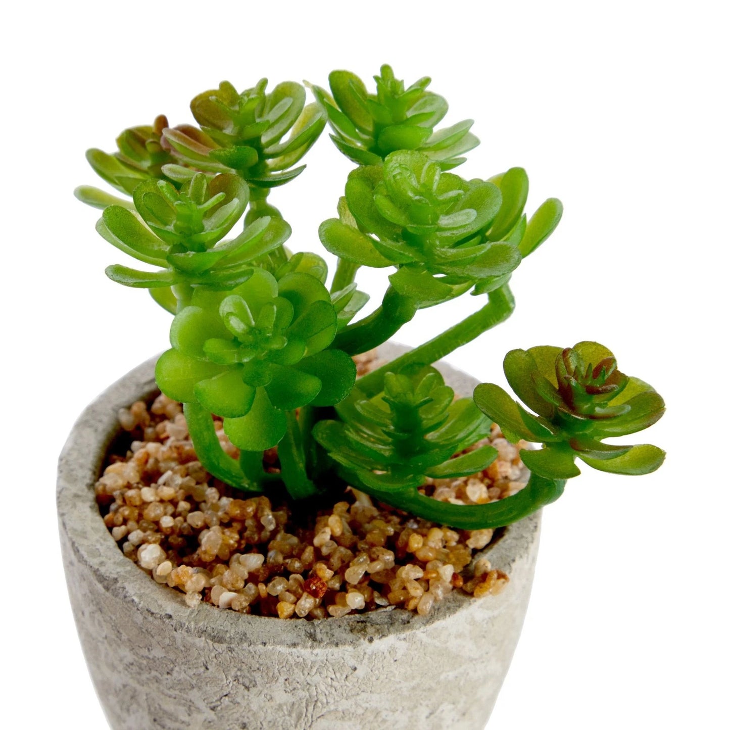 6 Pack Artificial Succulent Plant Pots