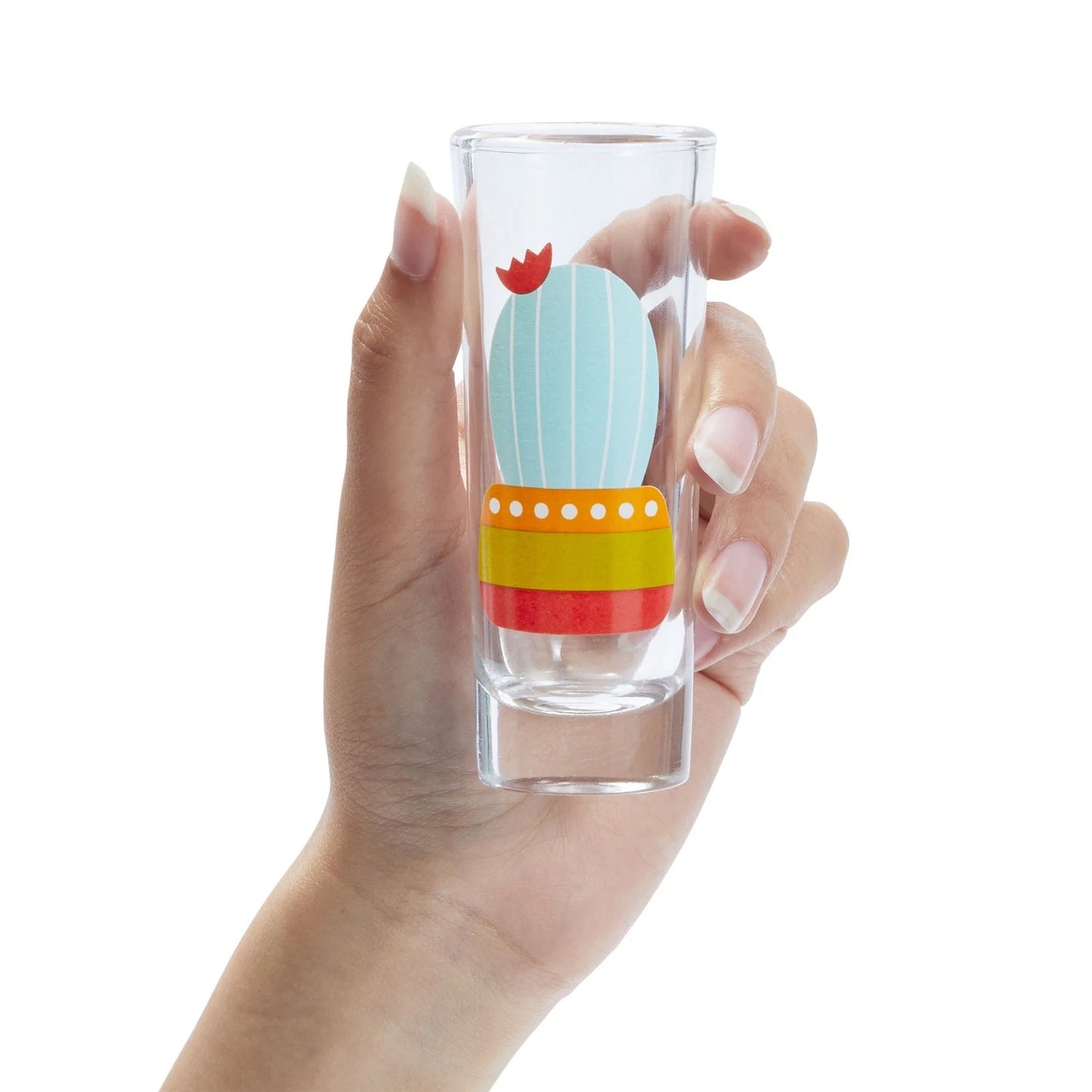 5 Pack Shot Glasses Set with Cactus Designs