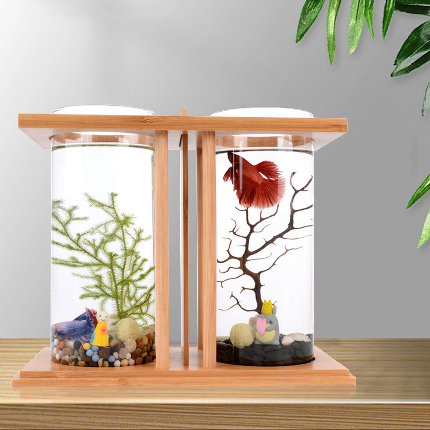 Mini Dual Glass Betta Fish Tank