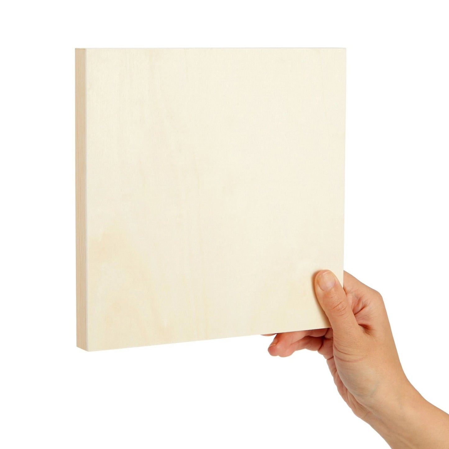 6-Pack Unfinished Wood Panels for Painting