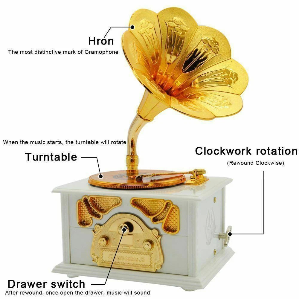 Vintage Gramophone Music Box