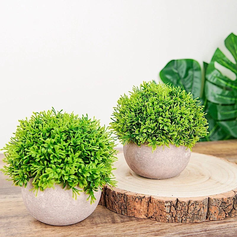 Green Gray Mini Boxwood Topiary 2 Potted Artificial Plants