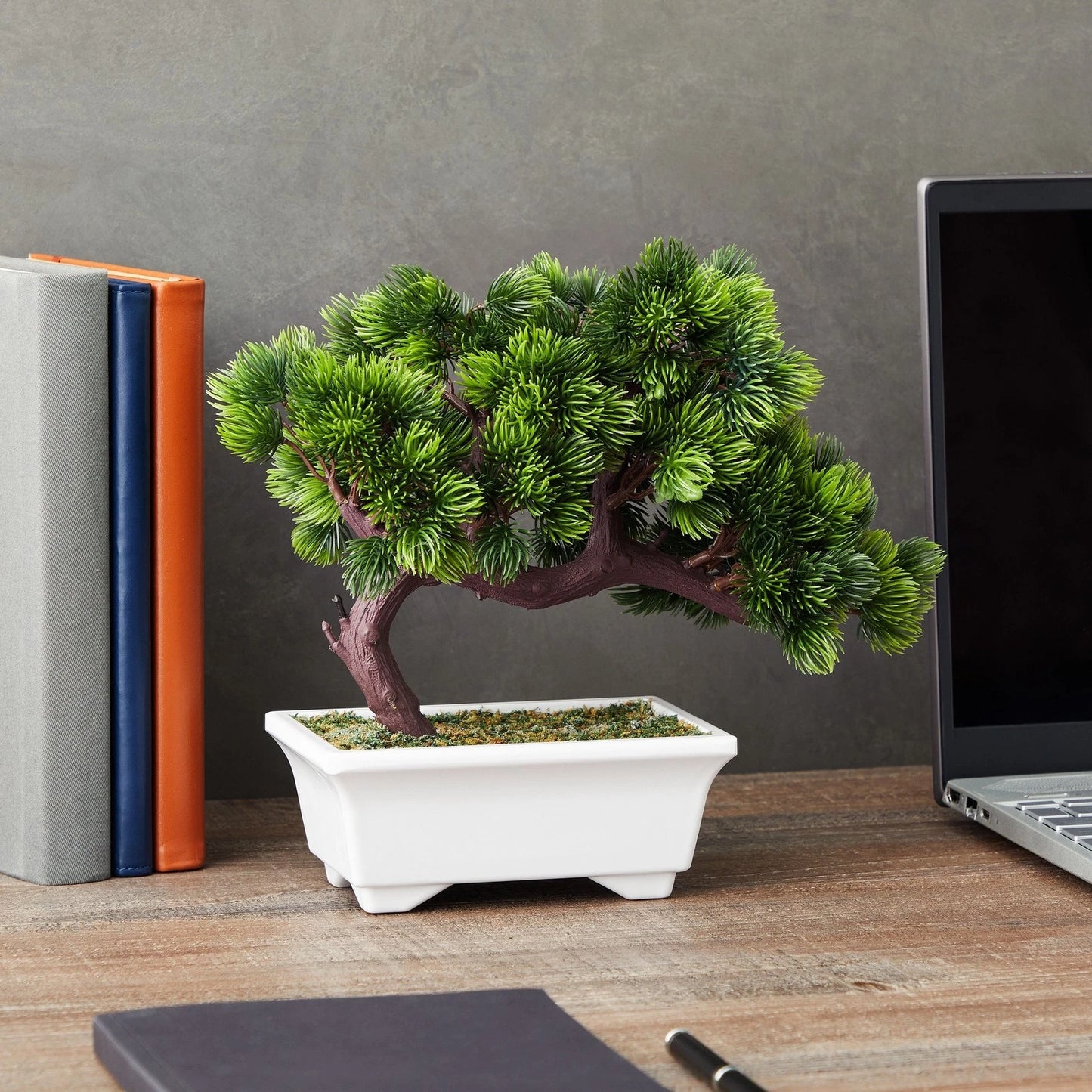 Artificial Bonsai Tree – Japanese Pine in White Pot