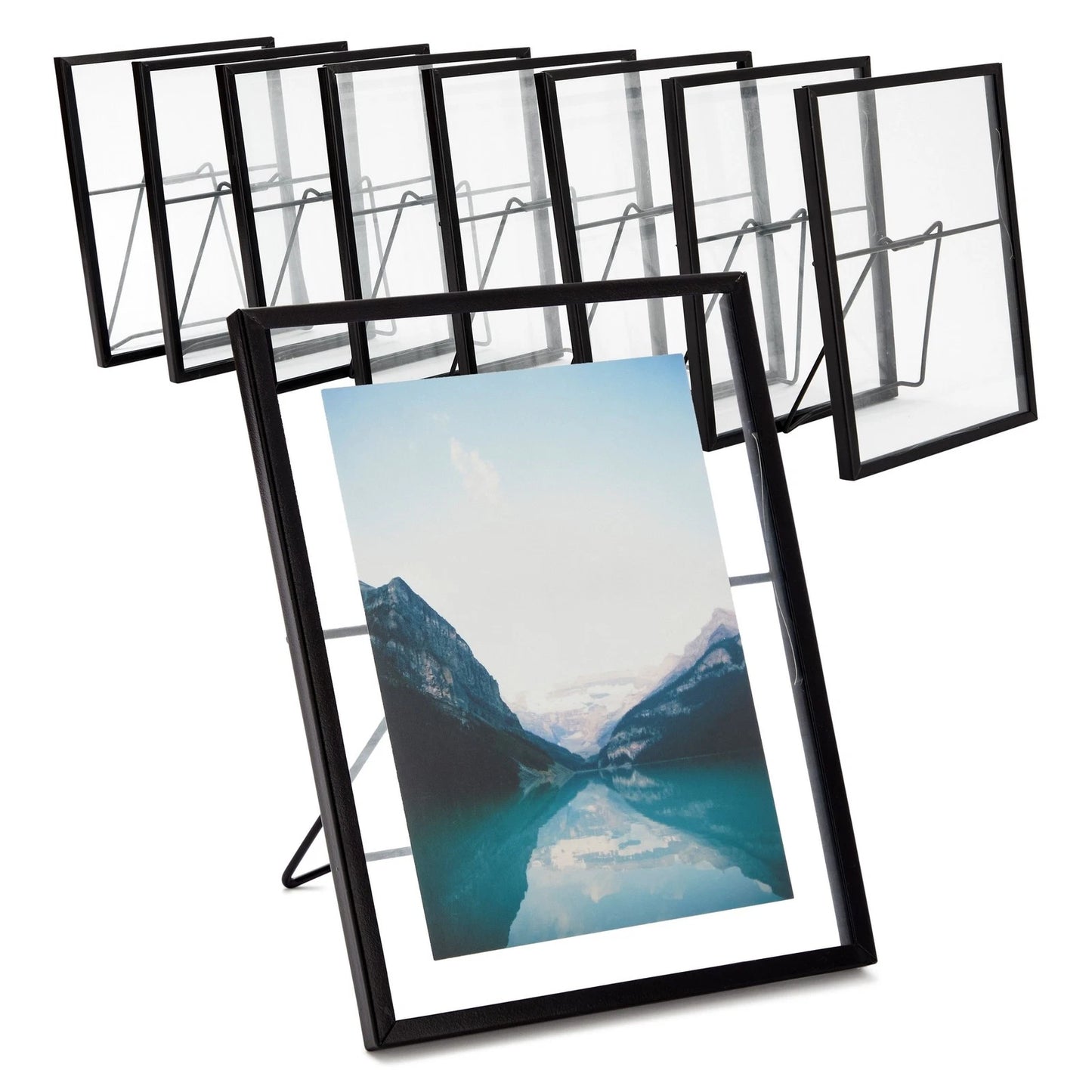 8-Pack Floating Glass Photo Frames with Pressed Flower Design