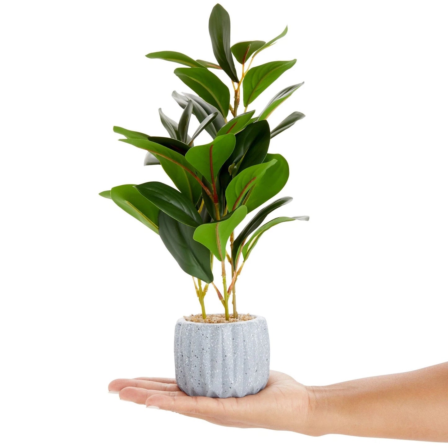 Artificial Potted Plant with Grey Cement Planter