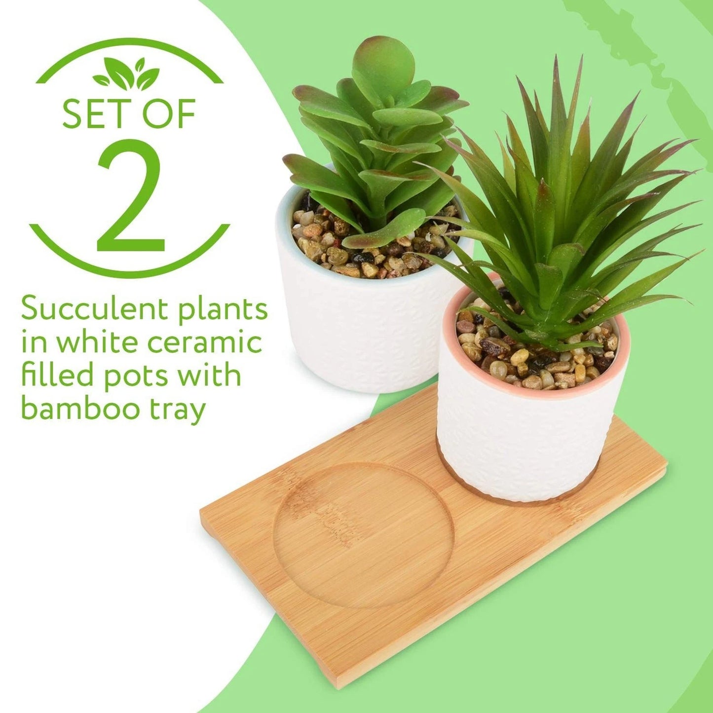 Artificial Succulent Plants in Ceramic Pots with Bamboo Tray