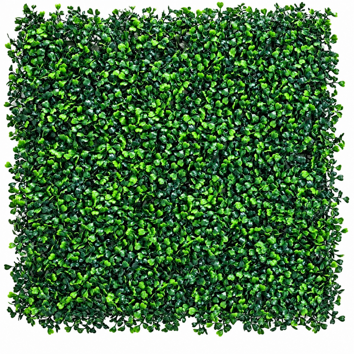 Home Collection 12Pcs Boxwood Grass Wall Panels 20x20"