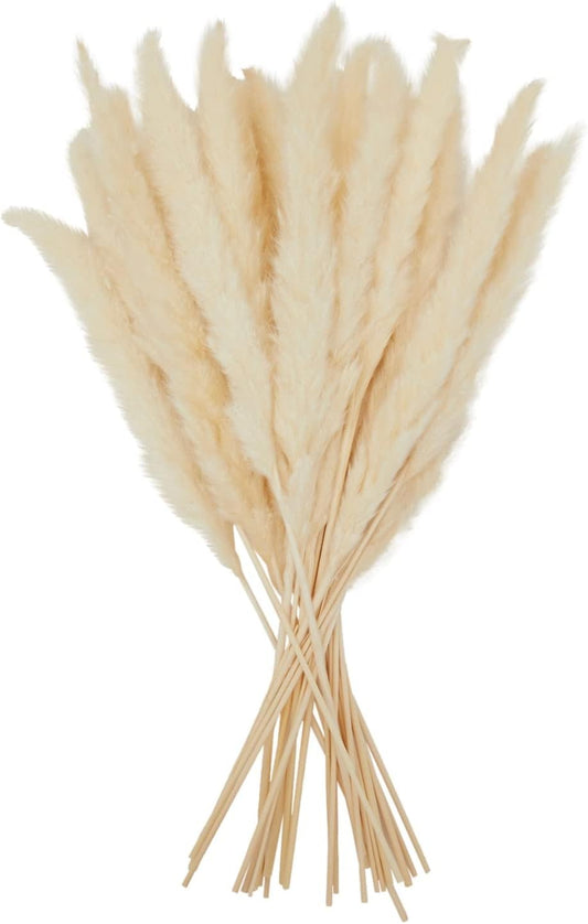 30-Pack Dried White Pampas Grass for Vases