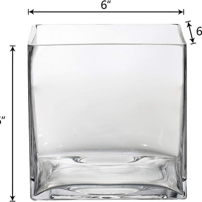 Home Collection 6 Pcs Clear Glass Cube Vases 6"
