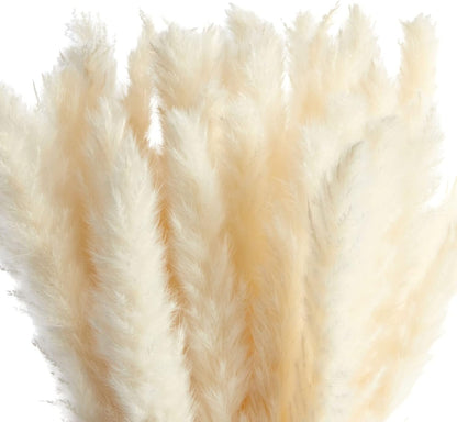 30-Pack Dried White Pampas Grass for Vases
