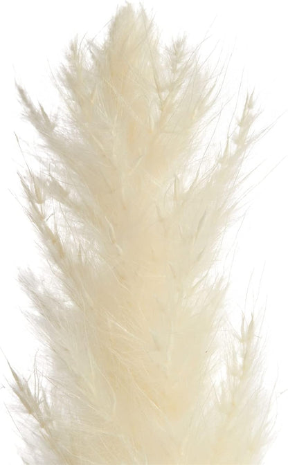 30-Pack Dried White Pampas Grass for Vases
