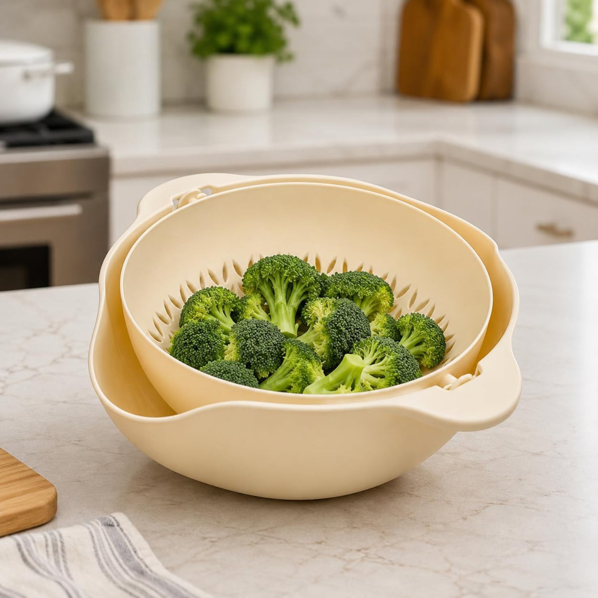 Home Collection Rinse and Drain Bowl Strainer Colander Combo