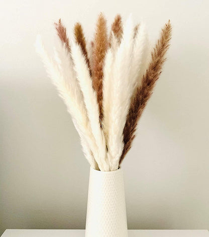 Home Collection 30-Pack Dried White Pampas Grass for Vases