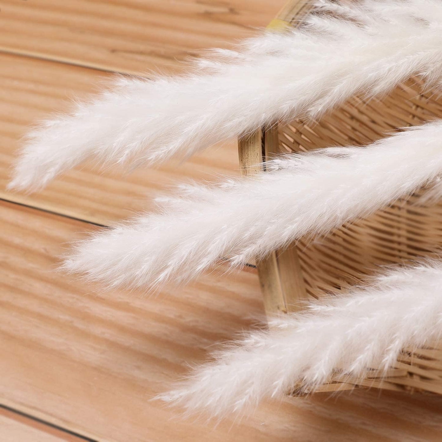 Home Collection 30-Pack Dried White Pampas Grass for Vases