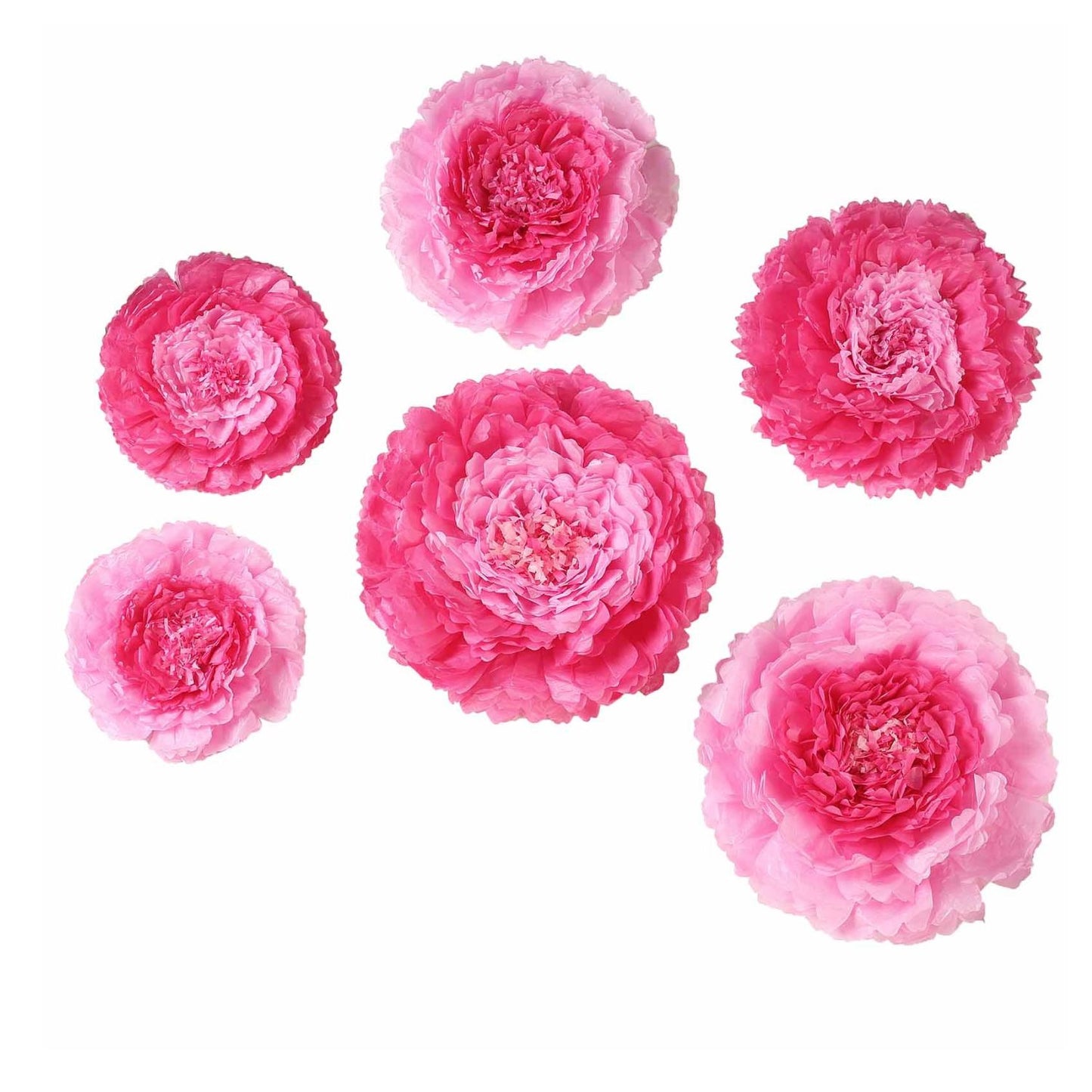 Home Collection Pack of 12 Large Carnation Paper Tissue Flowers
