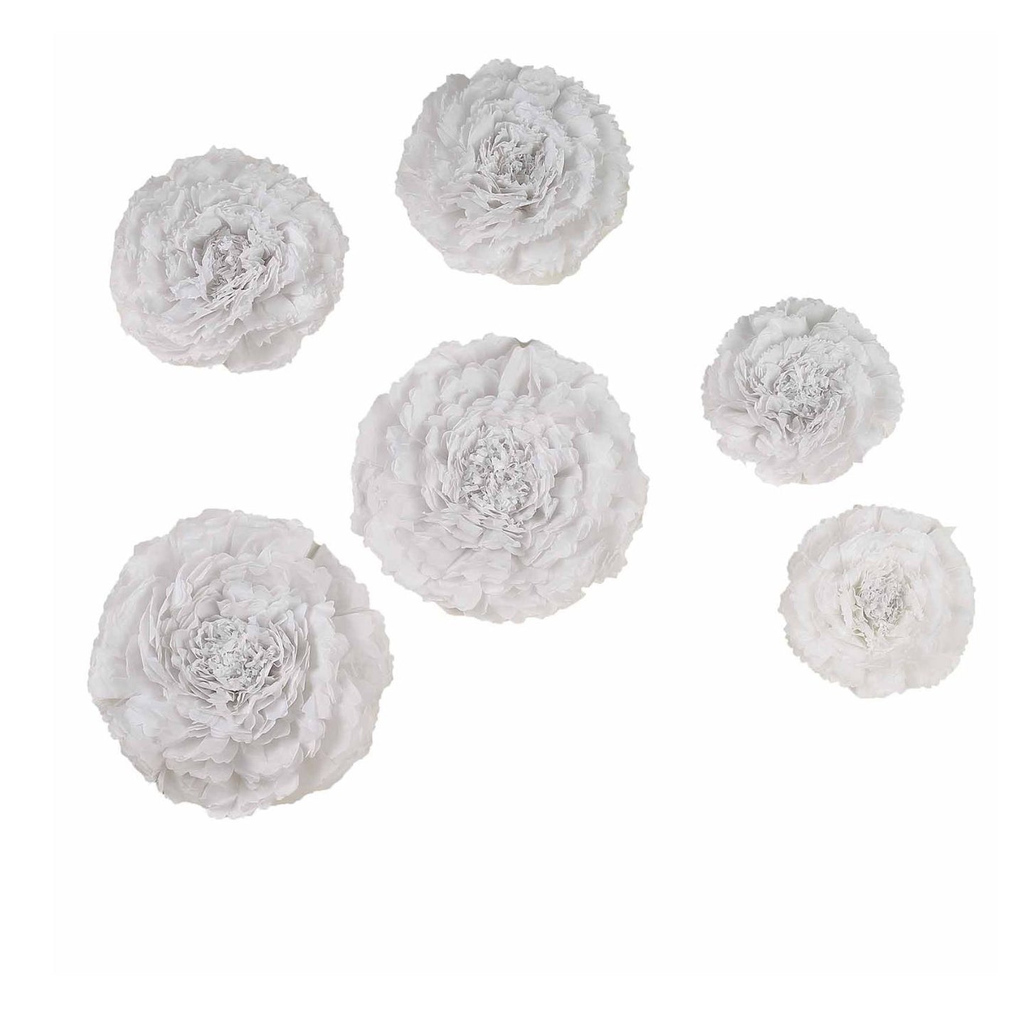 Home Collection Pack of 12 Large Carnation Paper Tissue Flowers
