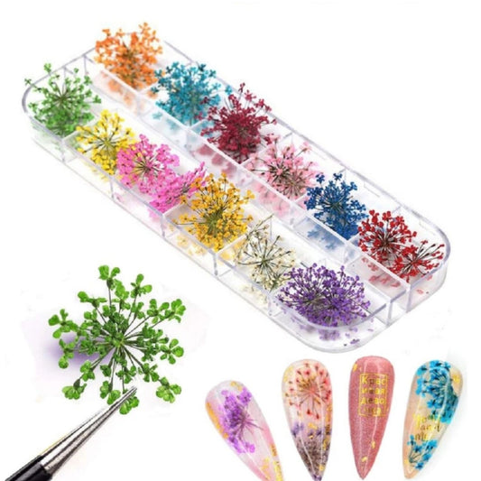 Home Collection 12Color Real Dried Flowers Nail Art Set