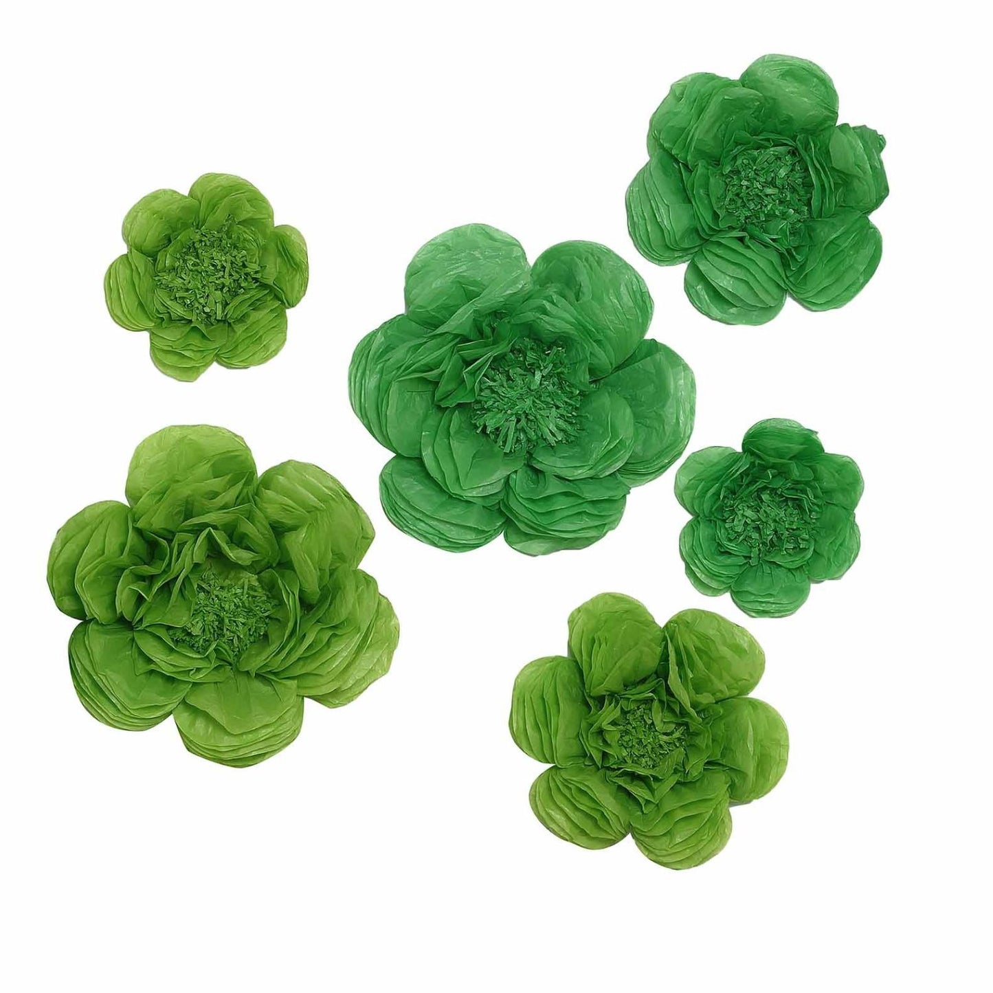 Home Collection Pack of 24 Peonies Paper Tissue Flowers Wall Backdrop