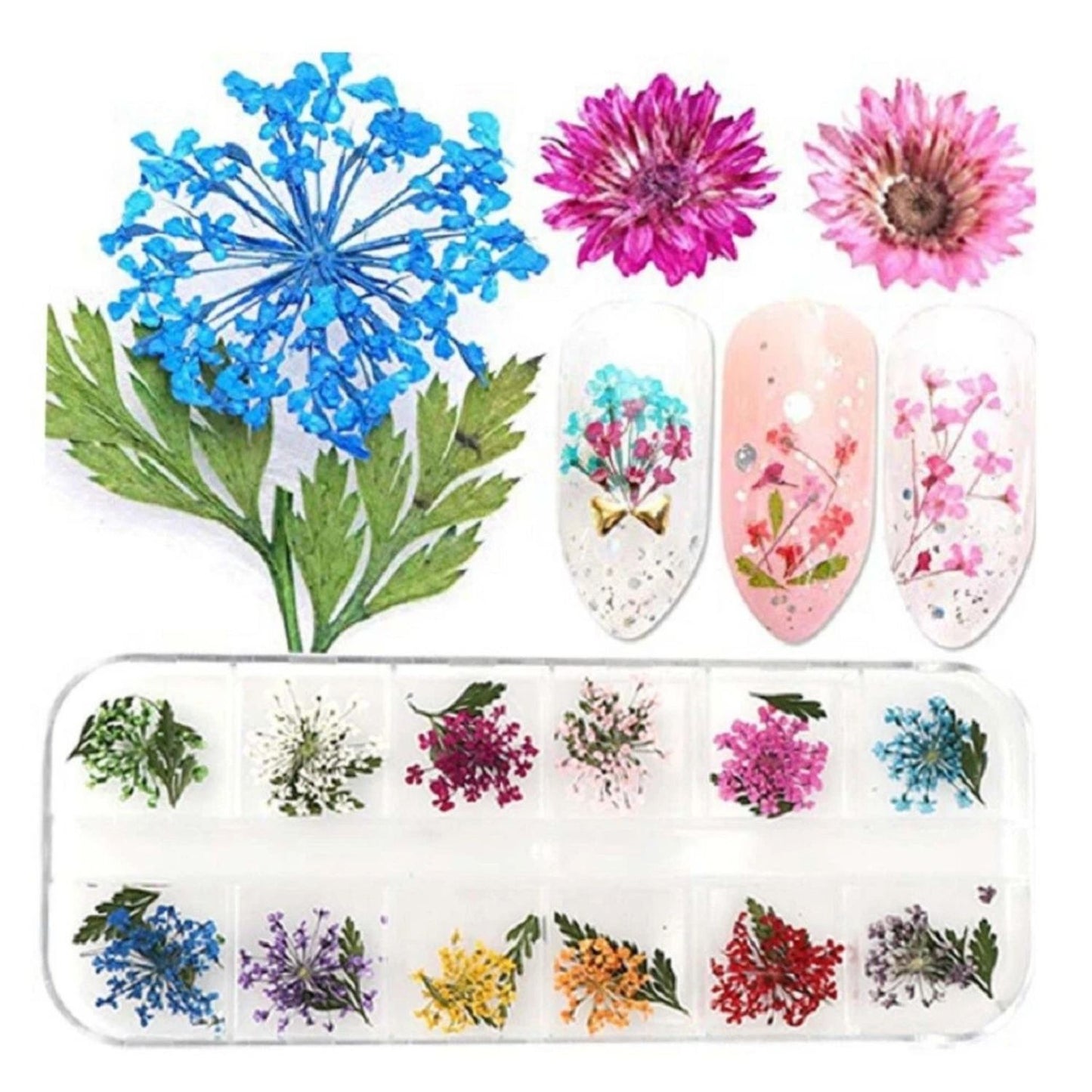 Home Collection 12Color Real Dried Flowers Nail Art Set