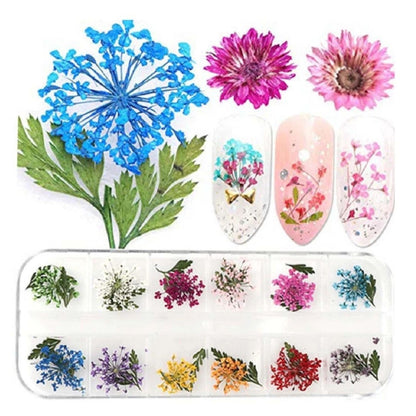 Home Collection 12Color Real Dried Flowers Nail Art Set