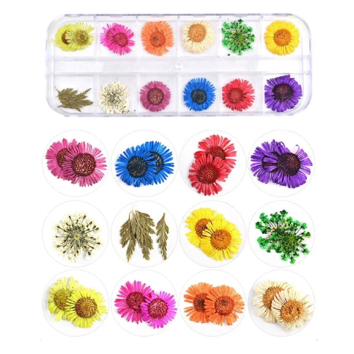 Home Collection 12Color Real Dried Flowers Nail Art Set