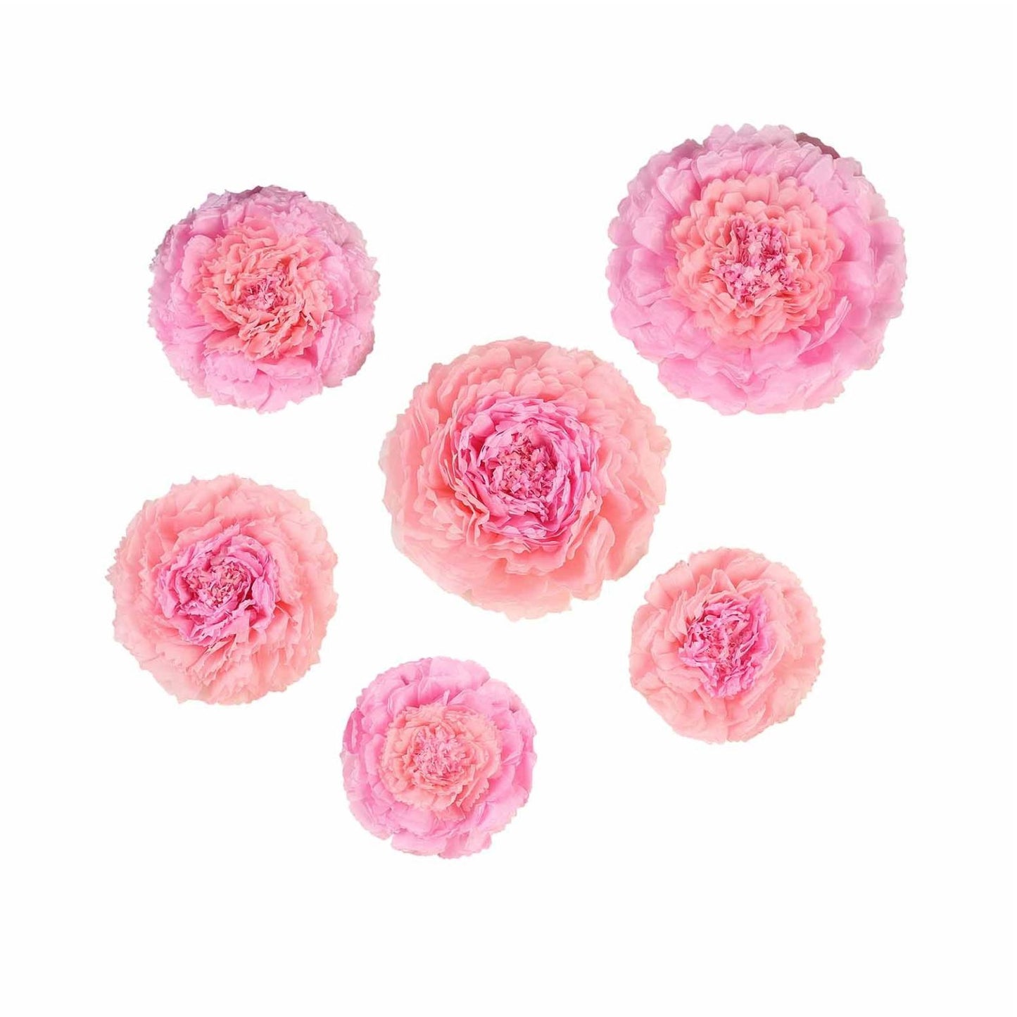 Home Collection Pack of 12 Large Carnation Paper Tissue Flowers