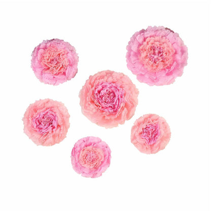 Home Collection Pack of 12 Large Carnation Paper Tissue Flowers