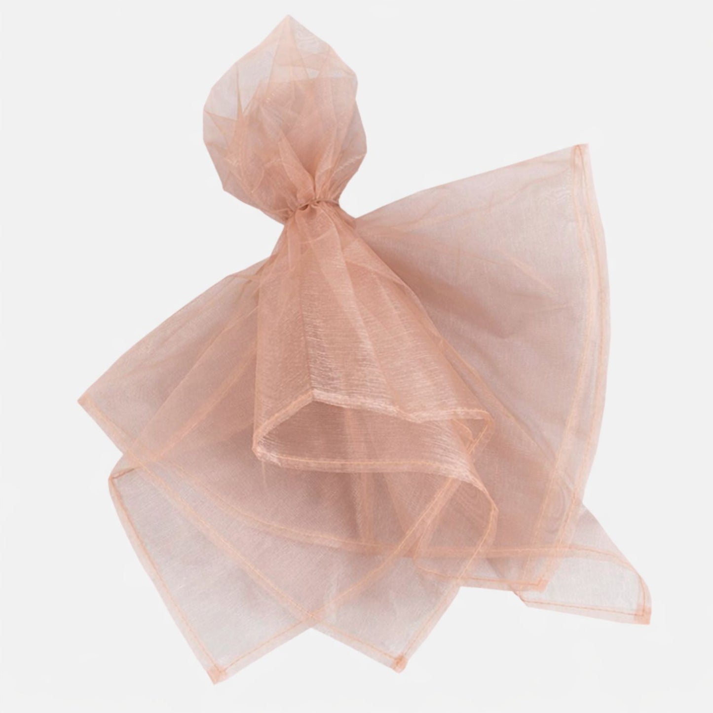 Home Collection Pack of 10 Organza Table Napkins 23x23 Inch