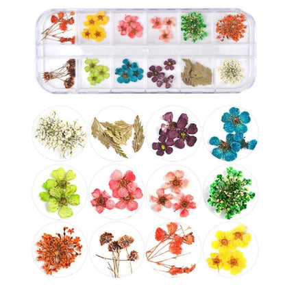 Home Collection 12Color Real Dried Flowers Nail Art Set