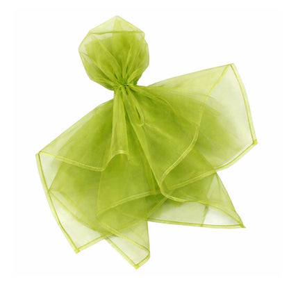 Home Collection Pack of 10 Organza Table Napkins 23x23 Inch