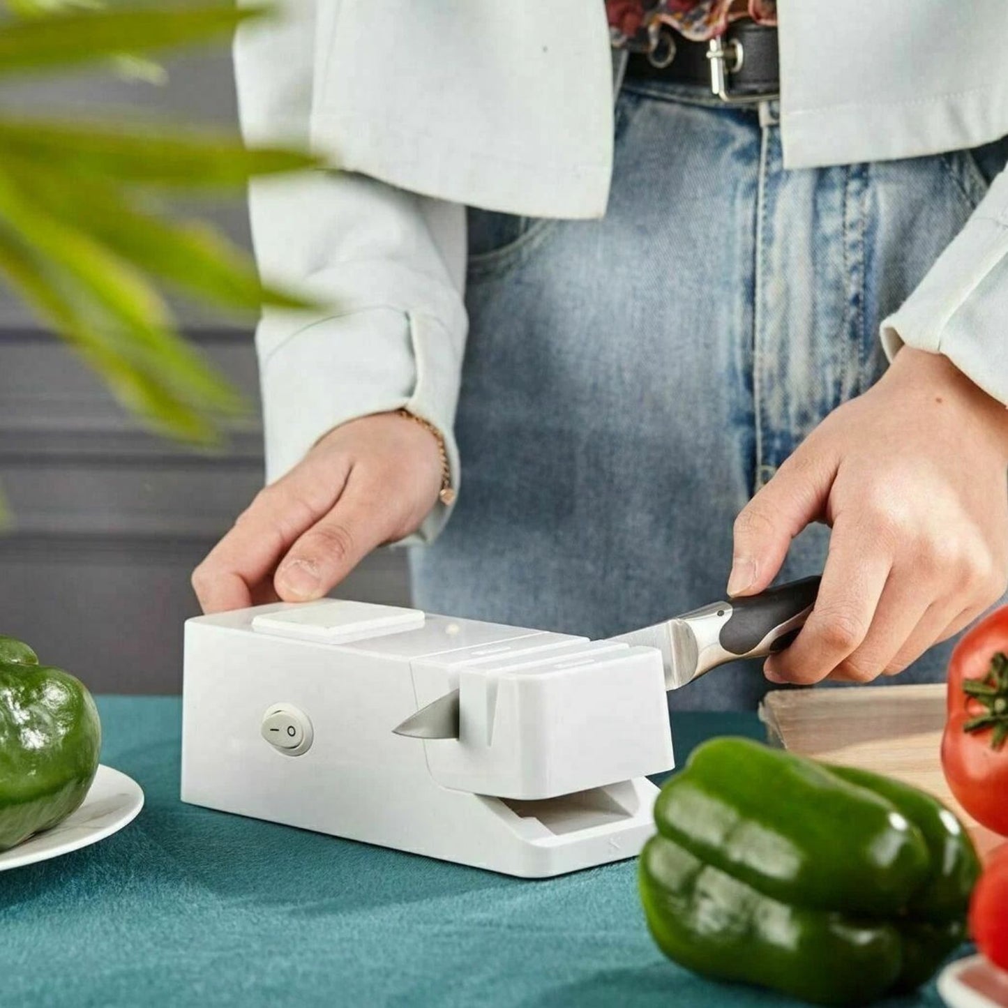 Home Collection Multi-Task Electric Knife & Scissor Sharpener