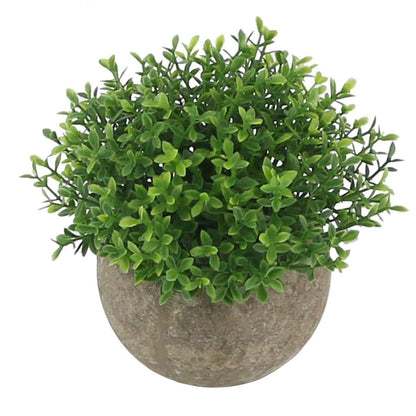 Home Collection Mini Green Grass Plants in Pot