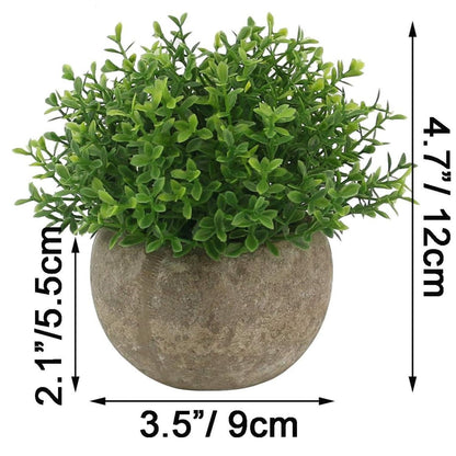 Home Collection Mini Green Grass Plants in Pot