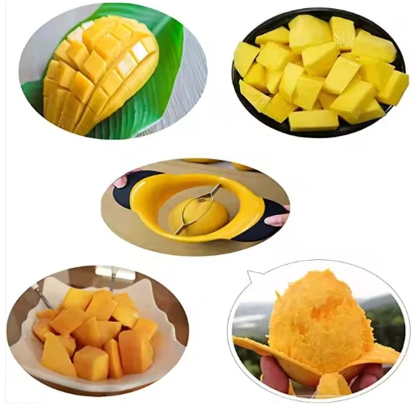 Home Collection Mango Slicer Pitter Cutter Splitter
