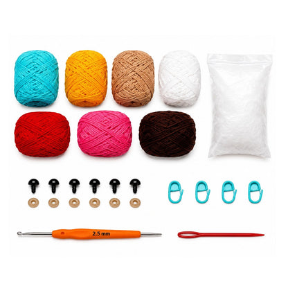 Home Collection Pack of 6 Desert Crochet Kit for Beginners