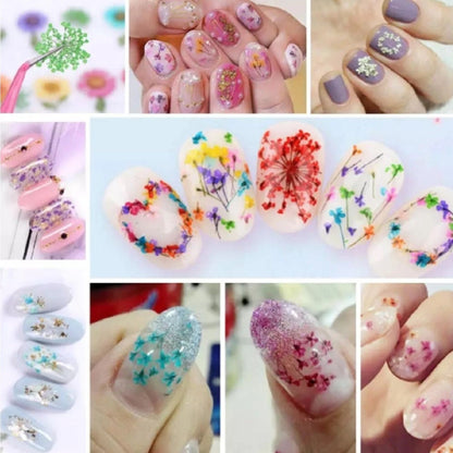 Home Collection 12Color Real Dried Flowers Nail Art Set