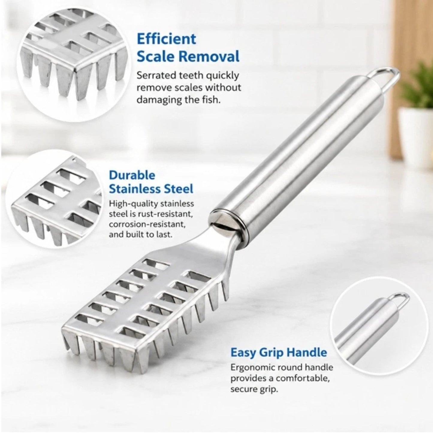 Home Collection Stainless Steel Fish Scaler Scraper Tool Seafood Scale Remover Brush Cleaner